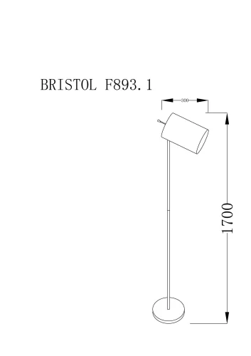 Торшер BRISTOL F893.1 Lucia Tucci  коричневый 1 лампа, основание хром в стиле современный
 фото 3